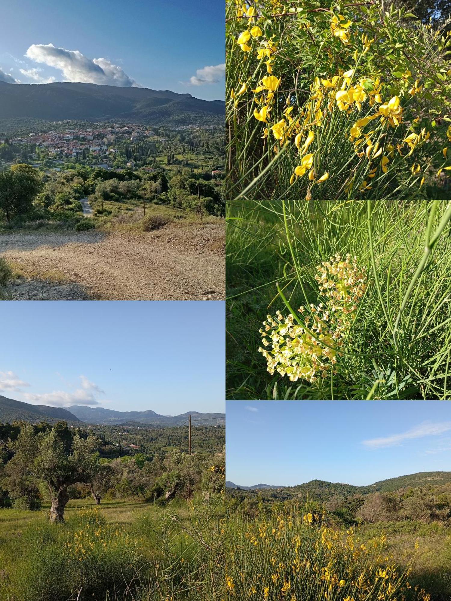 La Nature Konistres Esterno foto